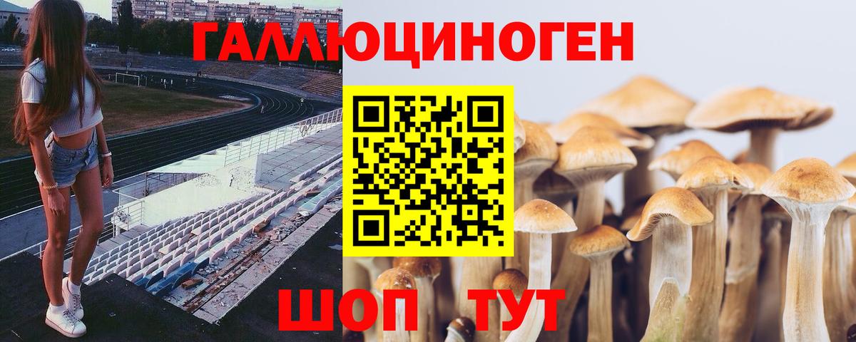 Искитим  Галлюциногенные грибы Cubensis  Вход с VPN 
